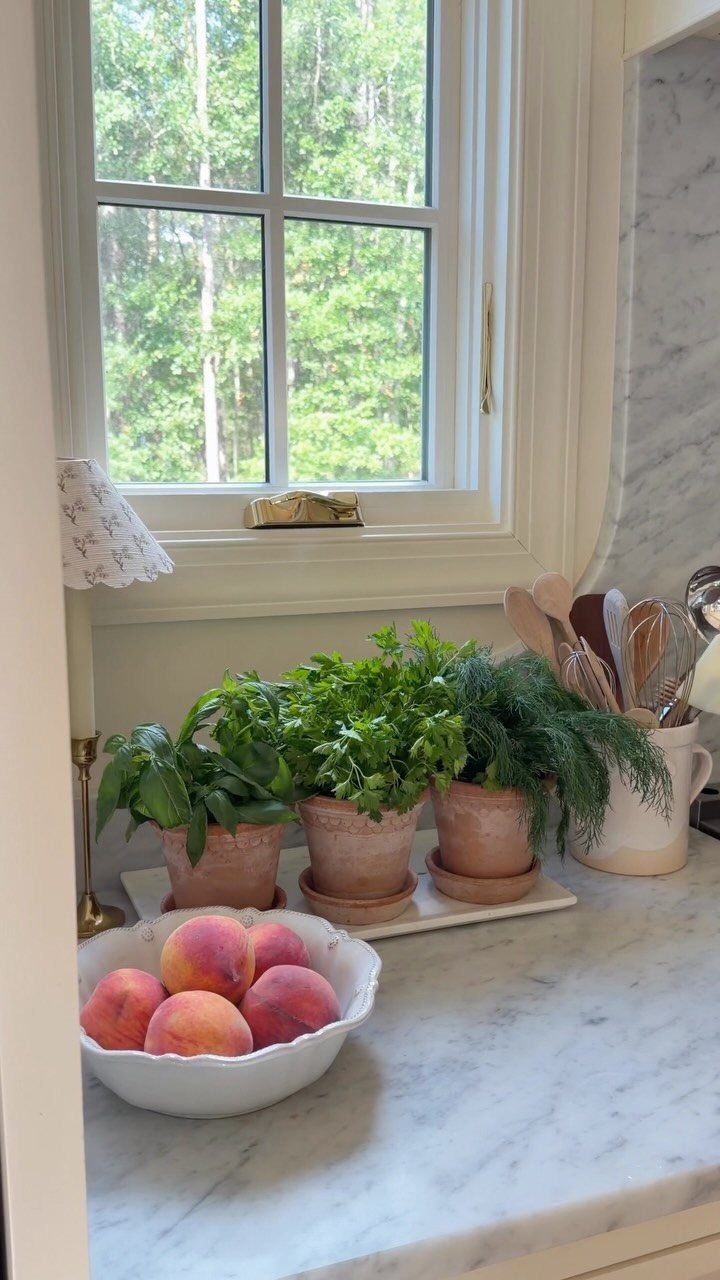 33 Kitchen Setting Ideas with Islands, Lighting, and Storage 25 Fresh green herbs in terracotta pots on a white marble kitchen countertop.